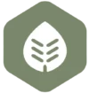 Plataforma de Cursos